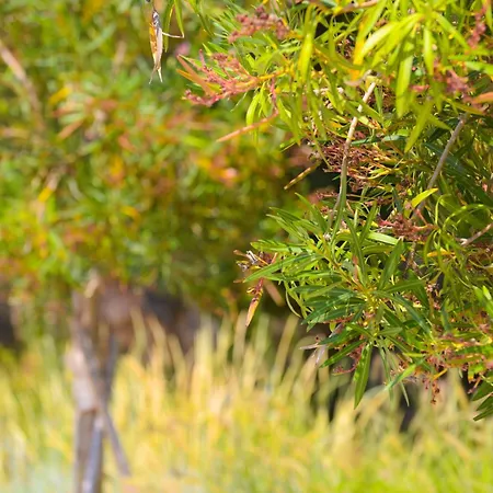 Happy Blue 2 Apartment Vlorë
