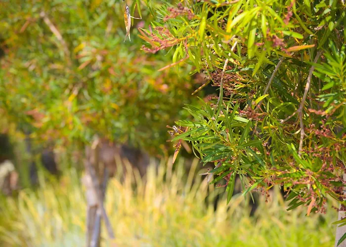Happy Blue 2 Appartamento Vlorë